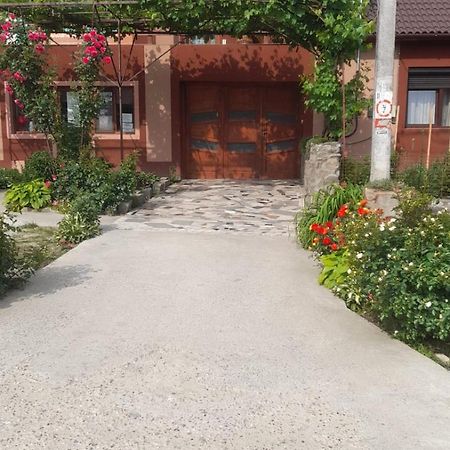 Casa Elena Eselnita Otel Dış mekan fotoğraf