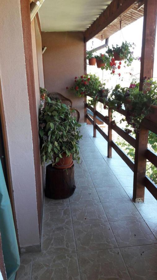 Casa Elena Eselnita Otel Dış mekan fotoğraf