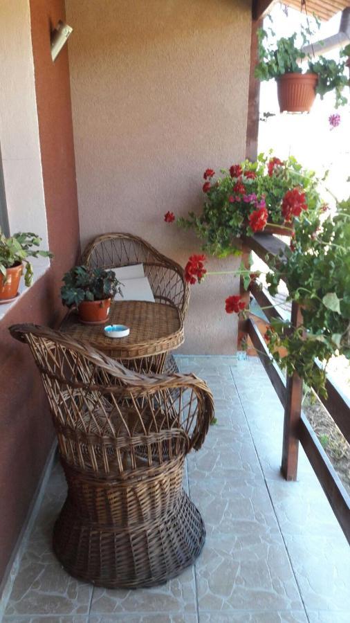 Casa Elena Eselnita Otel Dış mekan fotoğraf