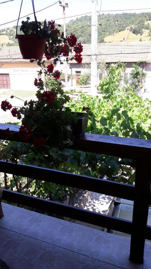 Casa Elena Eselnita Otel Dış mekan fotoğraf