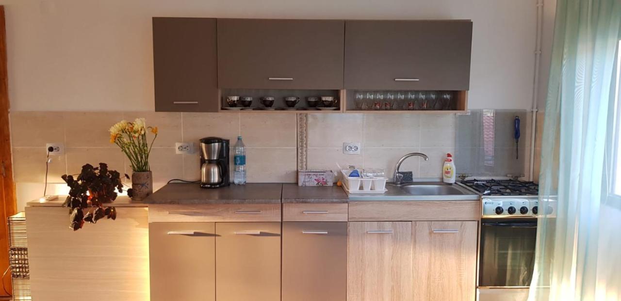 Casa Elena Eselnita Otel Dış mekan fotoğraf