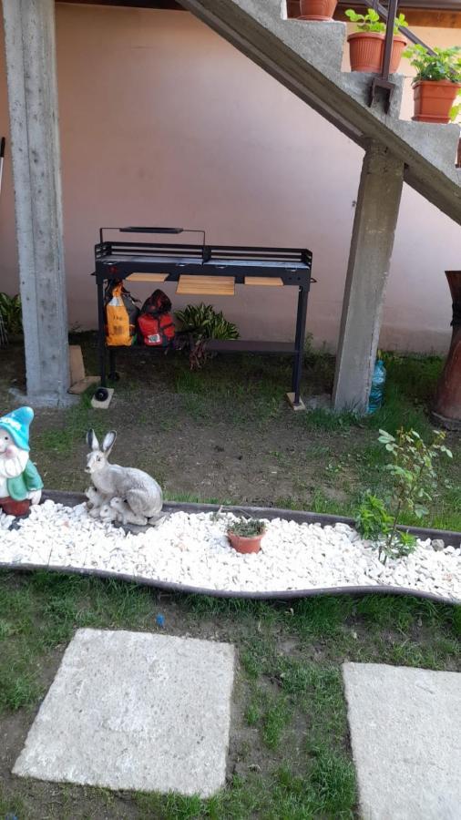 Casa Elena Eselnita Otel Dış mekan fotoğraf