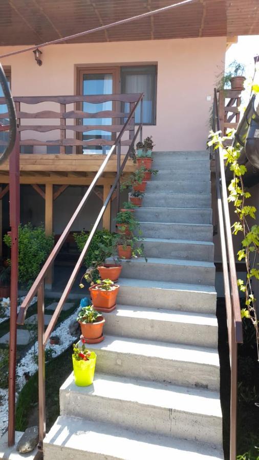 Casa Elena Eselnita Otel Dış mekan fotoğraf