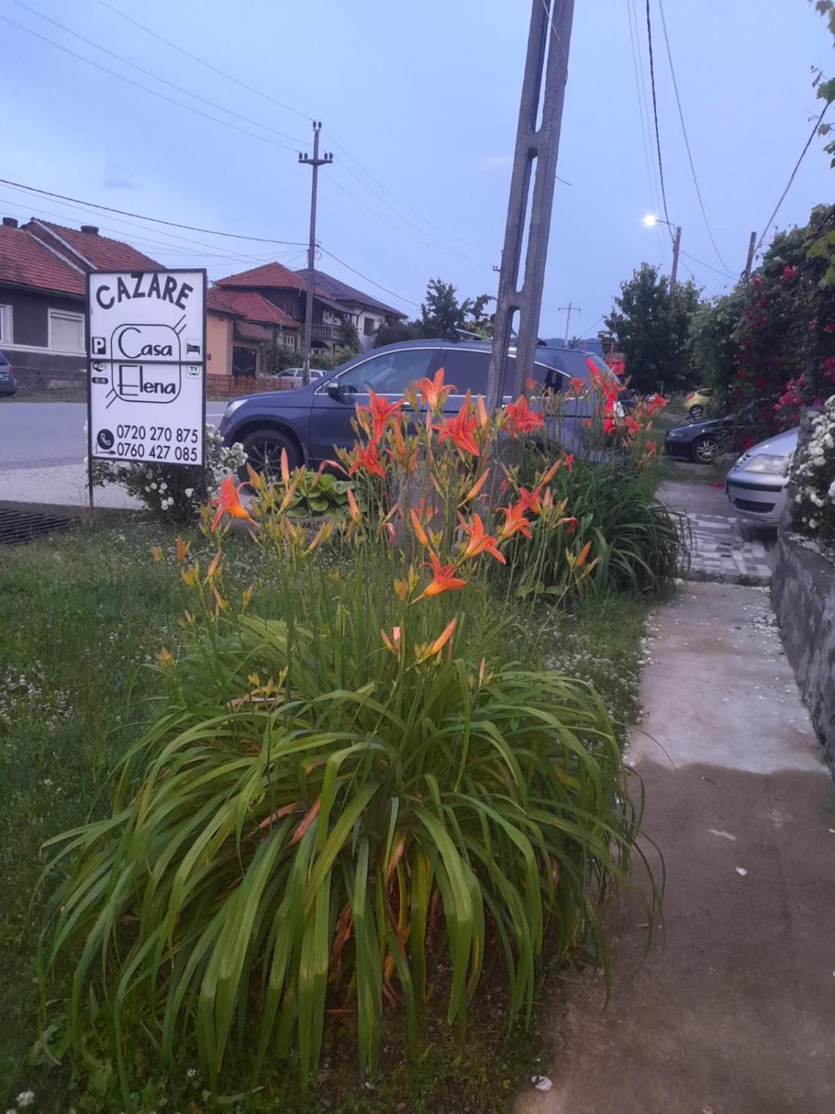 Casa Elena Eselnita Otel Dış mekan fotoğraf