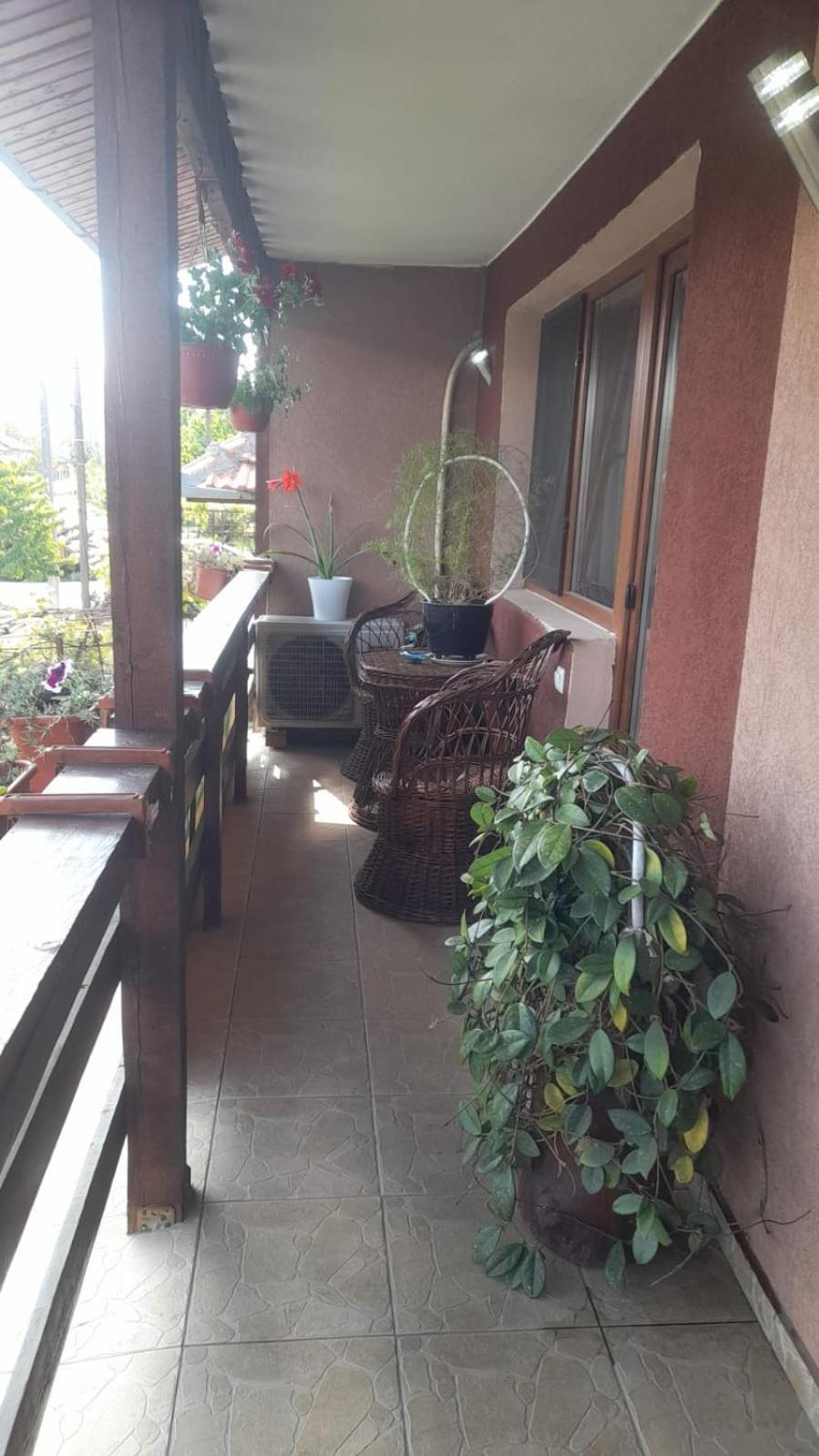 Casa Elena Eselnita Otel Dış mekan fotoğraf