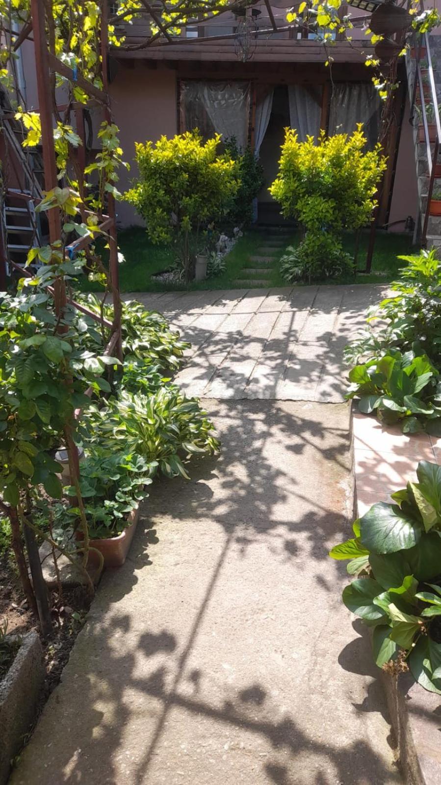 Casa Elena Eselnita Otel Dış mekan fotoğraf
