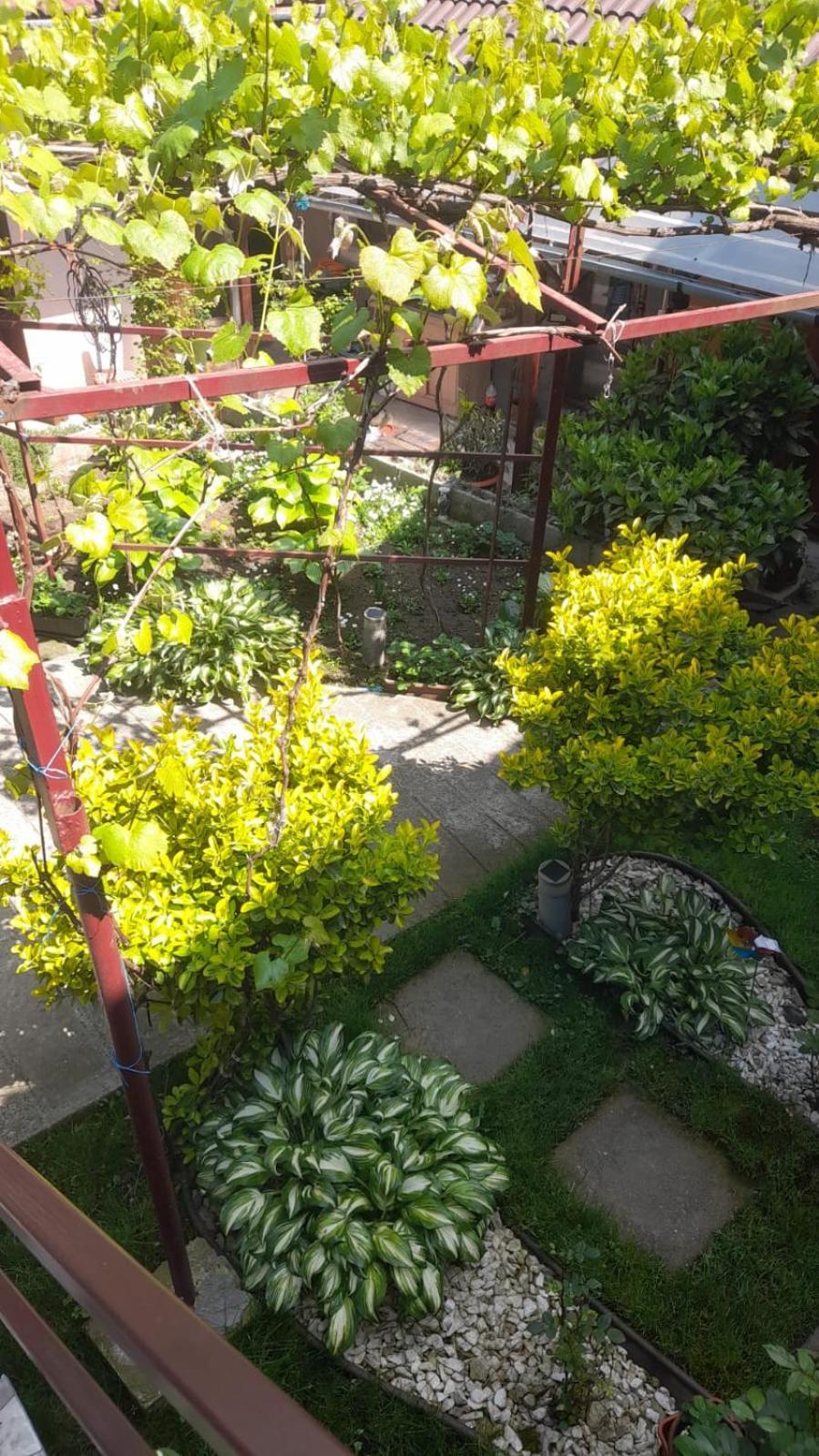 Casa Elena Eselnita Otel Dış mekan fotoğraf