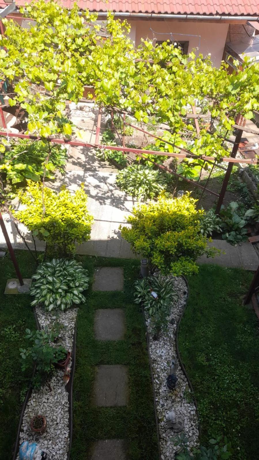 Casa Elena Eselnita Otel Dış mekan fotoğraf