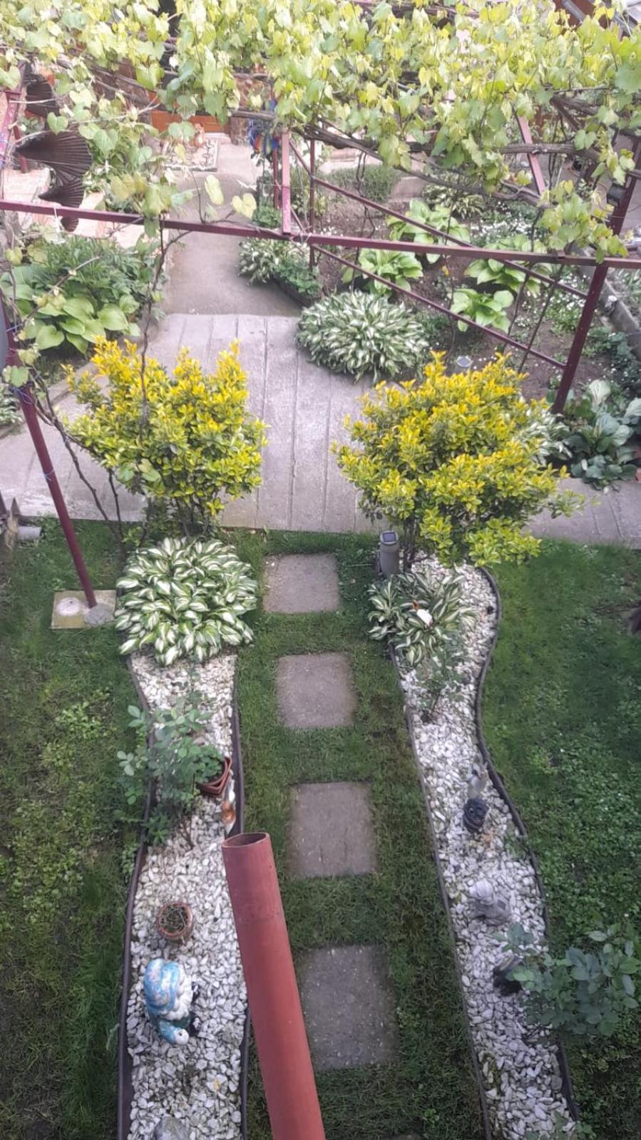 Casa Elena Eselnita Otel Dış mekan fotoğraf